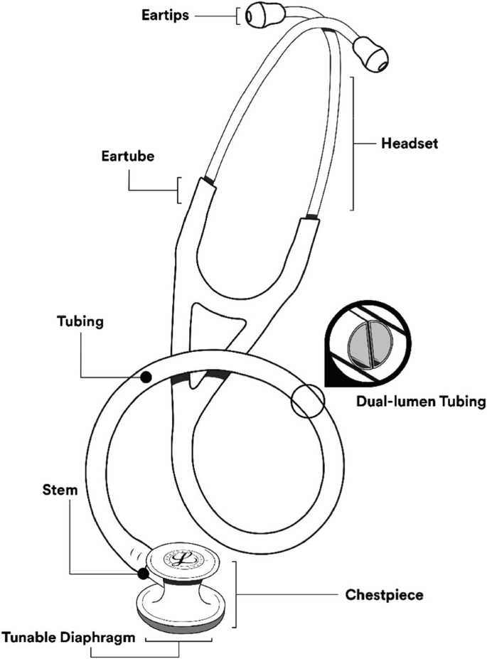parts of stethoscope with diagram