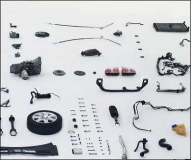 vag parts diagram