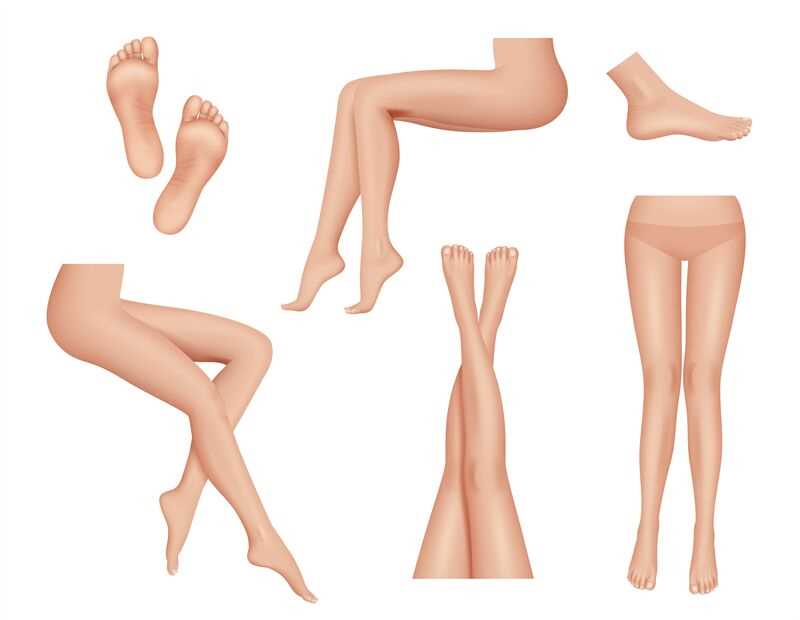 foot diagram body parts