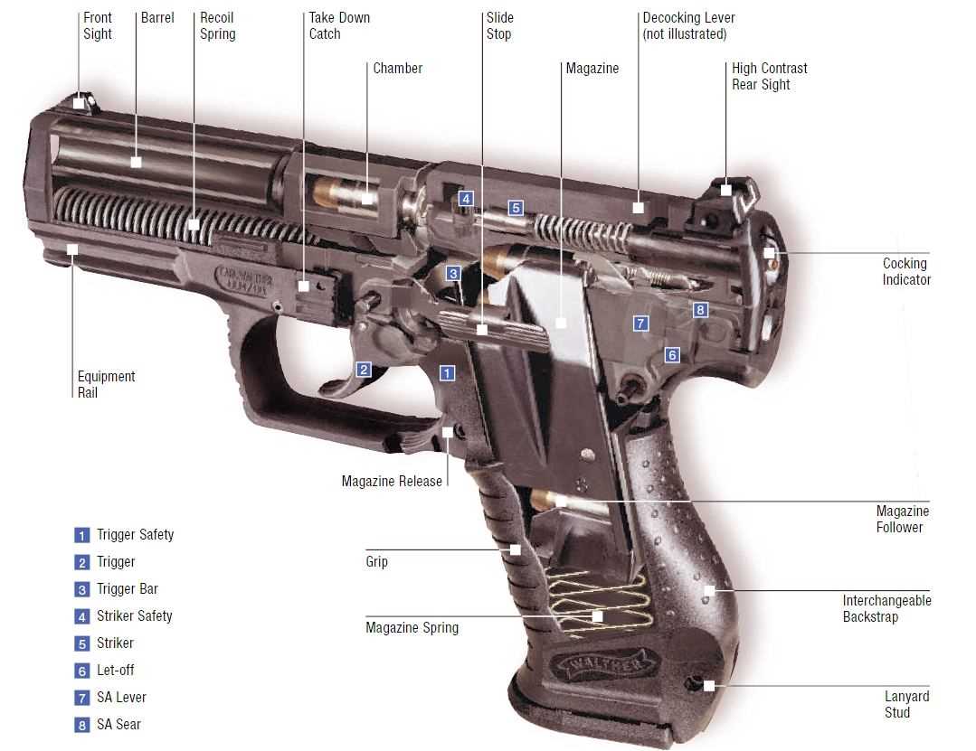 walther p99 parts diagram