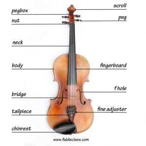 cello parts diagram