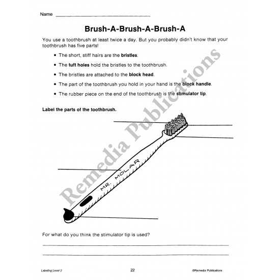 parts of a toothbrush diagram