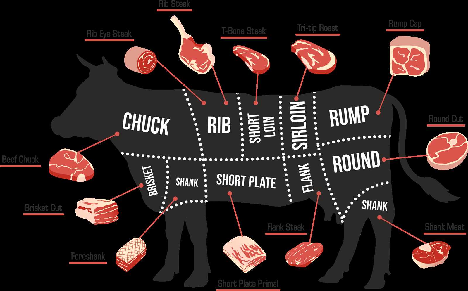 parts of the cow diagram