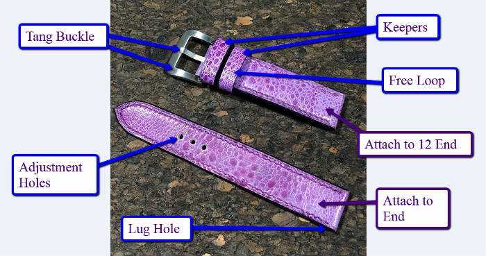 parts of a watch band diagram