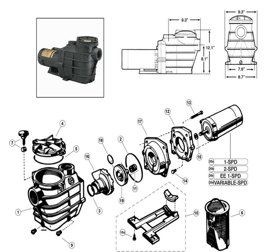 hayward northstar pump parts diagram