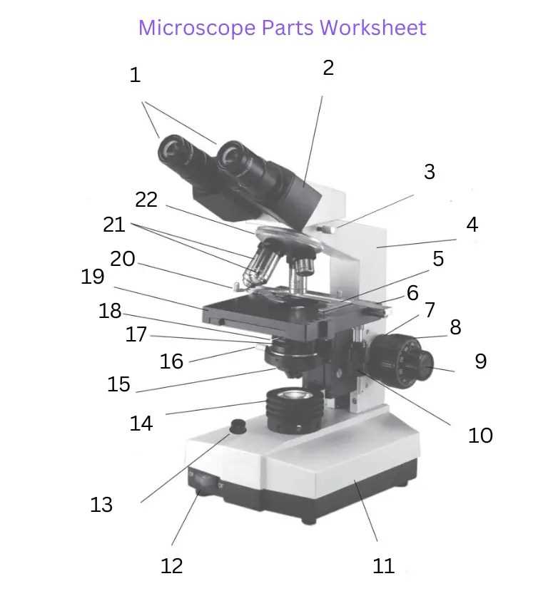 parts of the microscope diagram